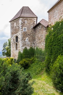 One of the castle towers